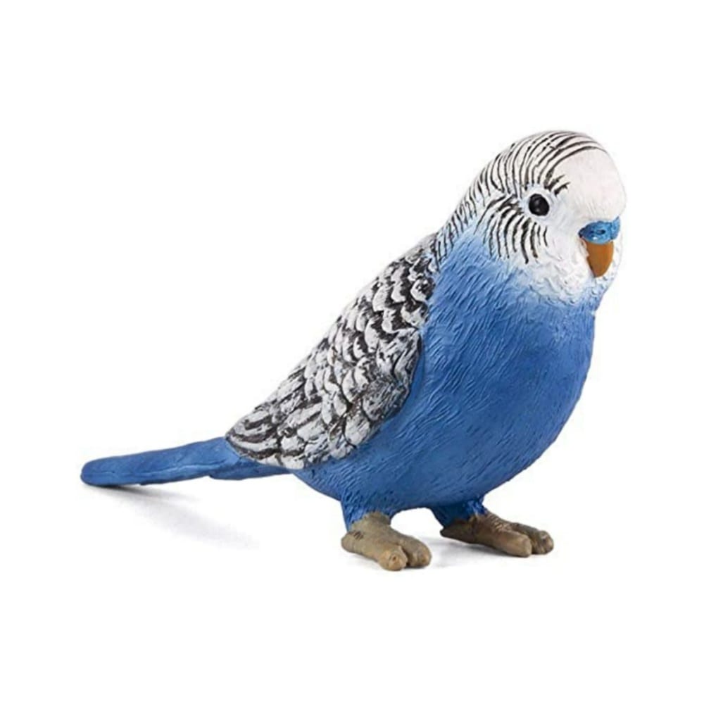 موجو سبز مرغ عشق 387292